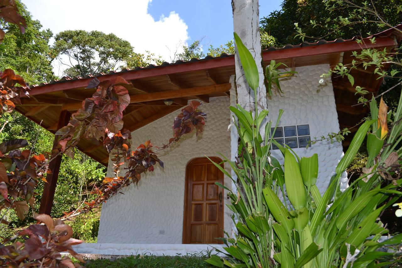 Natuga Ecolodge-Villas Dominical Baru Phòng bức ảnh