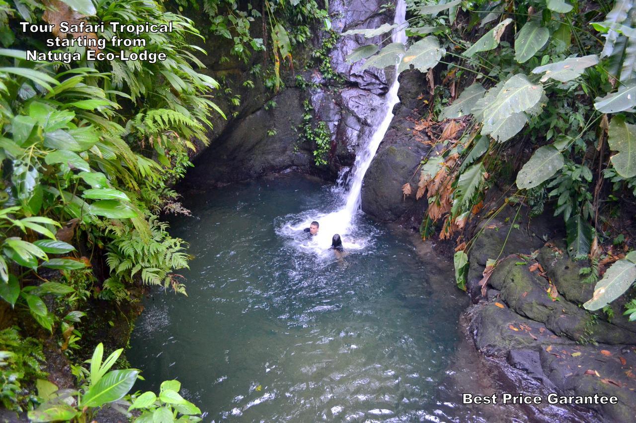 Natuga Ecolodge-Villas Dominical Baru Ngoại thất bức ảnh